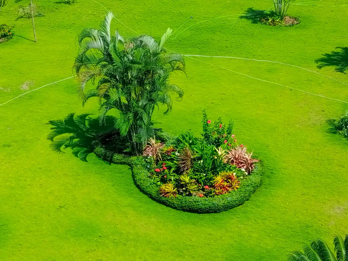 Entretien des espaces verts et jardin