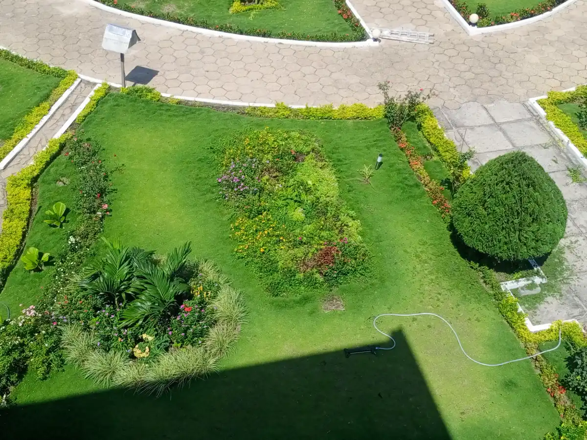Amenagement Paysager